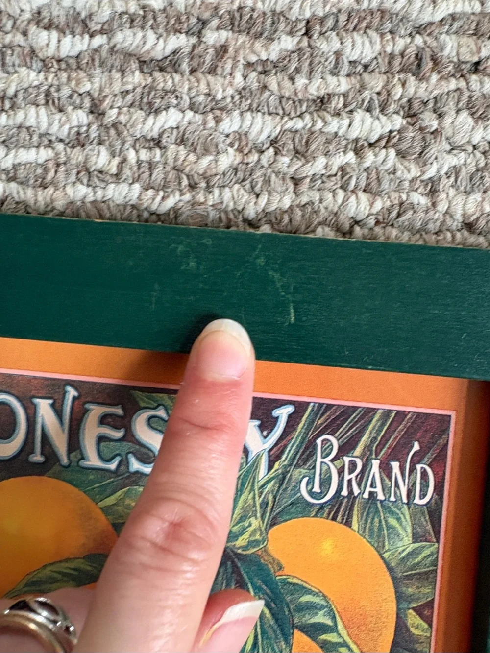 Louisiana Oranges Framed Wall Art
